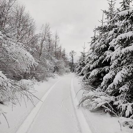Stuga I Naturskoena Mittskane Höör 外观 照片