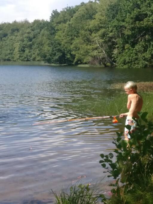 Stuga I Naturskoena Mittskane Höör 外观 照片